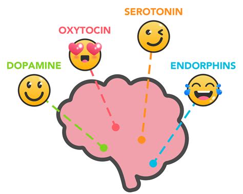happiness chemical in brain
